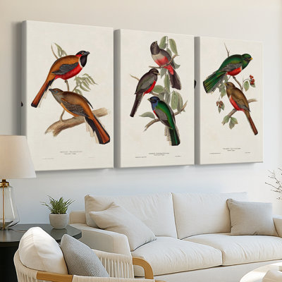ElegantTrogonsIV  -Custom Wrapped Gallery Canvas - 3 Pieces