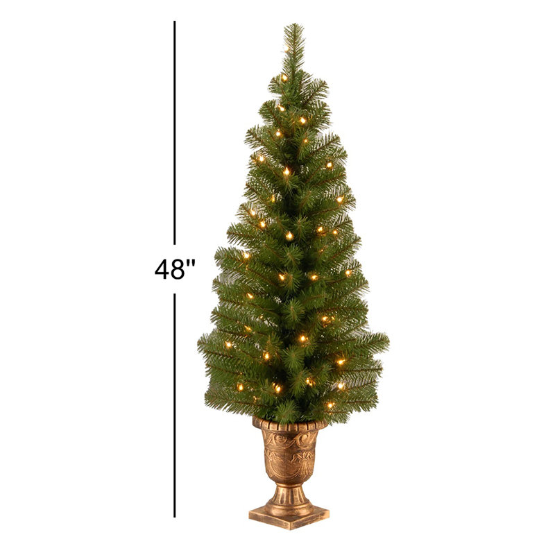 Montclair Spruce Entrance Tree with Clear Lights, 4'