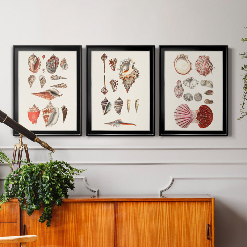 Shell Collection IV - Ensemble de 3 peintures sur toiles encadrées, Cadre noir, H 18,5 po x l 73,5 po x P 1,5 po
