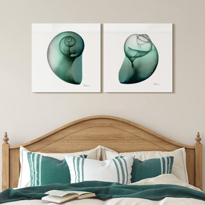 «Shimmering Snail I and II» par Albert Koetsier - Reproduction d'art sur verre sans cadre