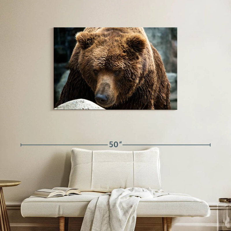 Ours brun Brampt, H 26 po x l 39 po