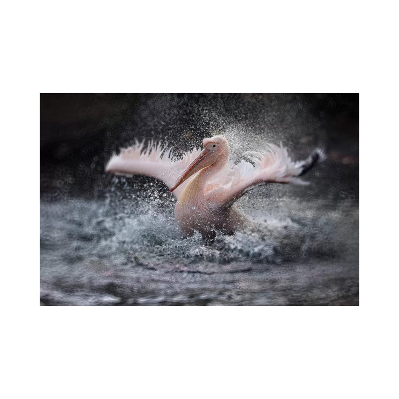 Bathing Fun by Antje Wenner-Braun - Wrapped Canvas Print, 30.48cm H x 45.72cm W x 1.91cm D