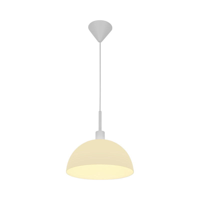 1 - Light Dome Pendant