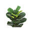 Plante artificielle