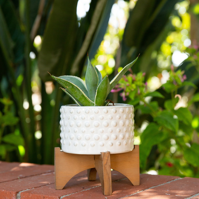 Blanding Handmade Pot Planter, Ivory