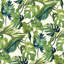 Falling Fronds-741056014