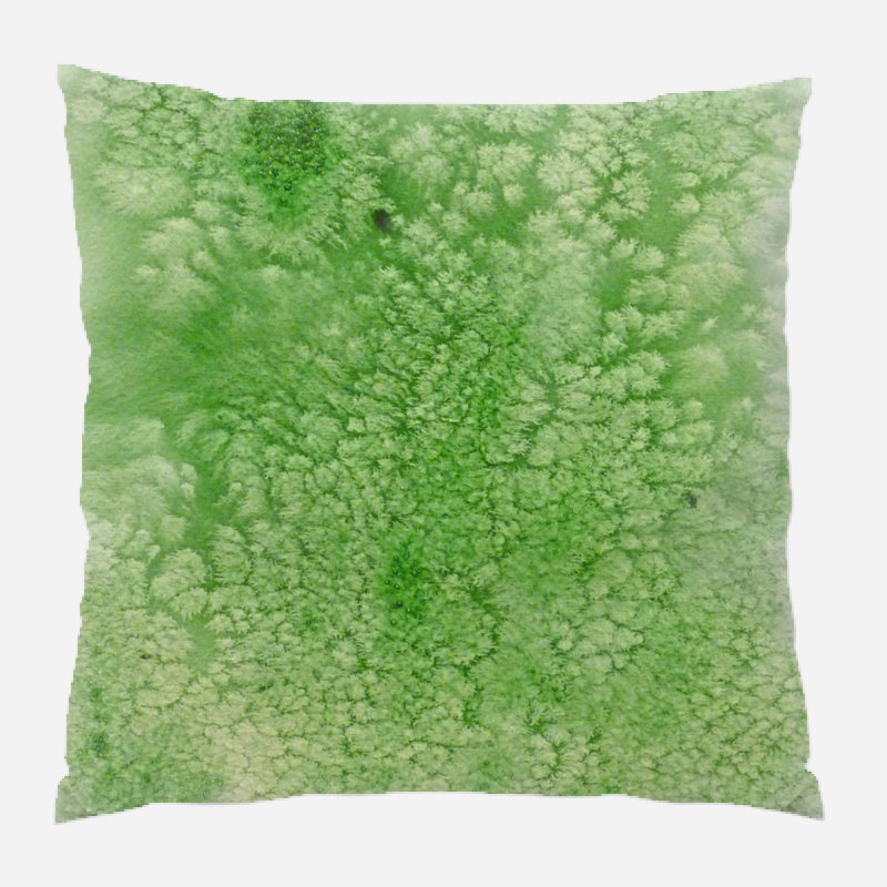 Housse et insert de coussin carré Parkman, Microsuède, Intérieur