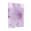 Plantes et fleurs, fleur de lavande, gros plan sur fond rose-315982435
