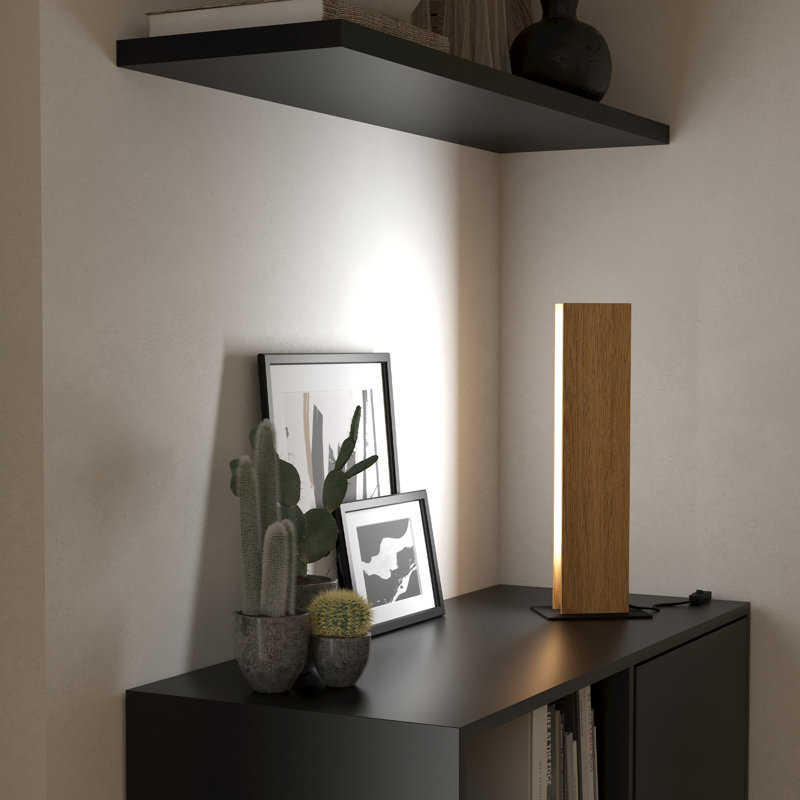 Criddle Stainless Steel Novelty Lamp