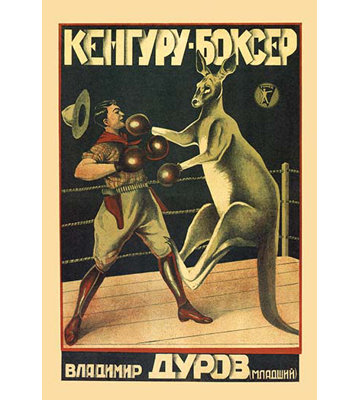 Affiche rétro kangaroo boxer