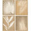 Minimal Botanical IDÉE4WALL, art mural encadré, feuille d'îlot tropical brun et brun-90162024-90162022