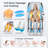 2025 4D Zero Gravity Dual SL Track Massage Chair Heated Full Body Reclining Massage Chair With AI Voice Control Body Scan