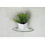 Fanney Triangle Glass Floating Shelf with Adjustable Shelves-1355432598-1355432619