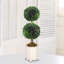 DOUBLE BALL TOPIARY IN A CANISTER VASE