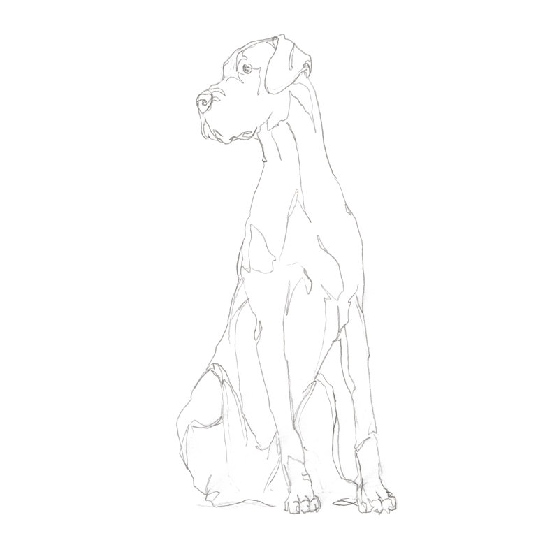 Dog Shape II by Ethan Harper - Drawing, 122cm H x 81cm W, Wrapped Canvas