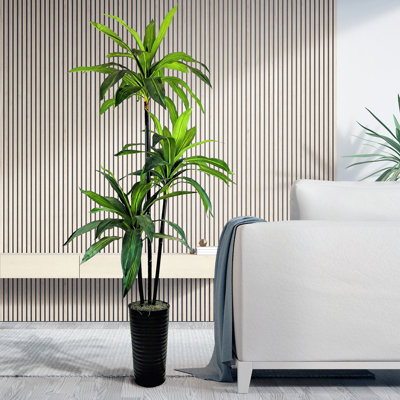 Contenant en métal noir 6 pi x 3 po Dracaena