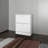 White Shoe Cabinet With 2 Tilt-Out Doors-1625702967