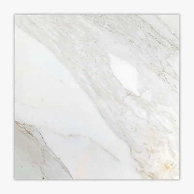 Calacatta Gold Polished 24x24 Marble Tile