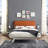 Modway Tracy Platform Bed Frame-295734832-303638931-392613650