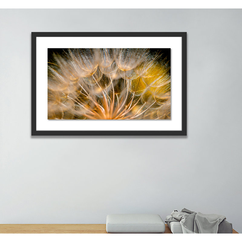 Float Away Print by Geoffrey Baris, 25" H x 40" W x 2.5" D, Black