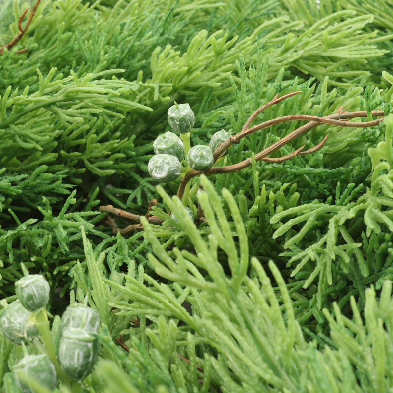 13" Juniper Christmas Garland