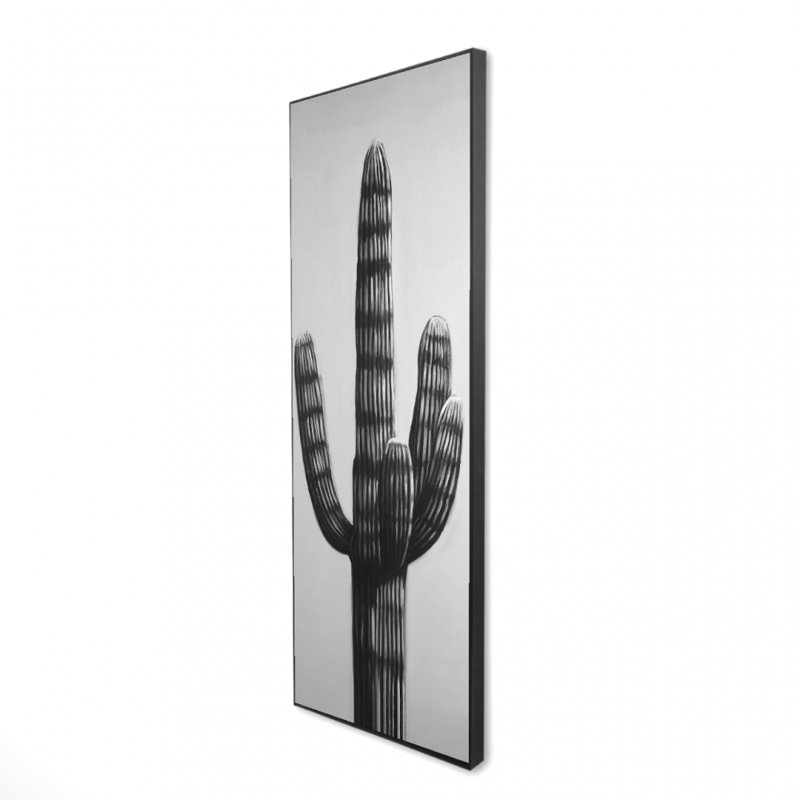 «Cactus solitaire noir et blanc» sur