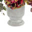 Lilbourn chardon, hortensia et lierre en pot de pierre