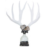 Handmade Glass Decorative Bottles
