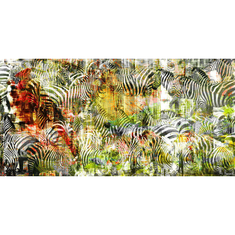 Parvez Taj - Wrapped Canvas Print, 76cm H x 152cm W