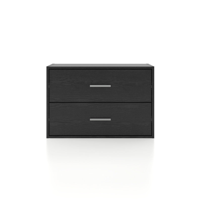 Breayla 15.7"H 2-Drawer Wooden Storage Bookcase, Black