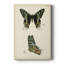 «Butterfly Profile III», impression sur toile tendue-842106258