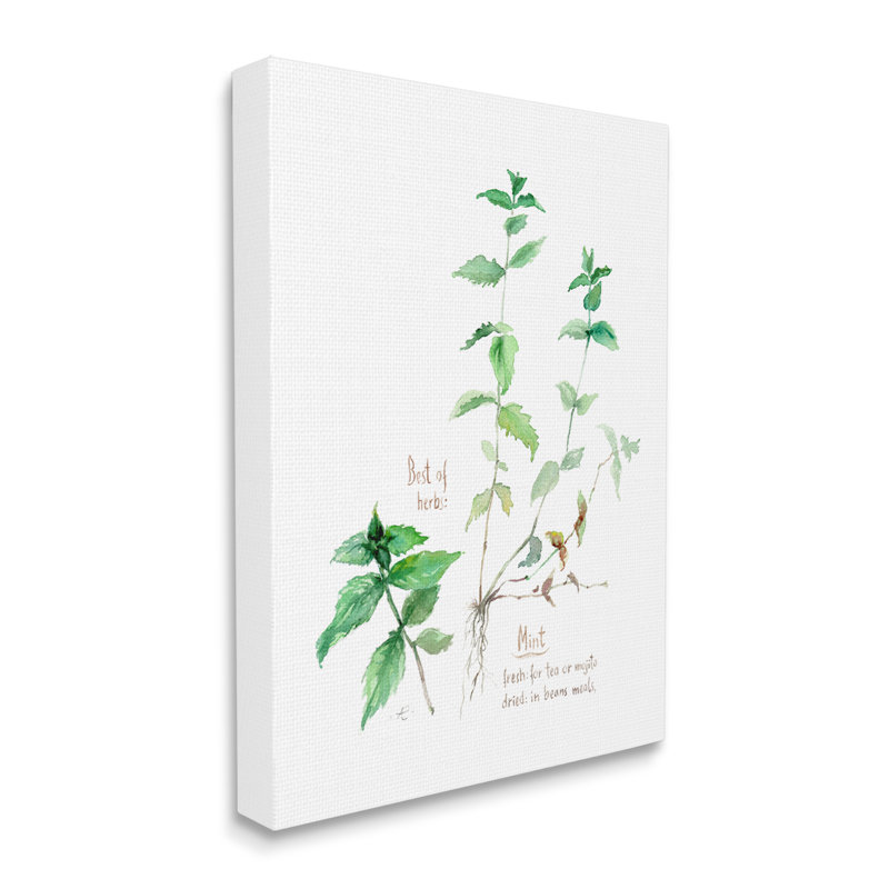 Menthe avec brindilles Best of Herbs, H 20 po x l 16 po x P 1,5 po, Toile tendue