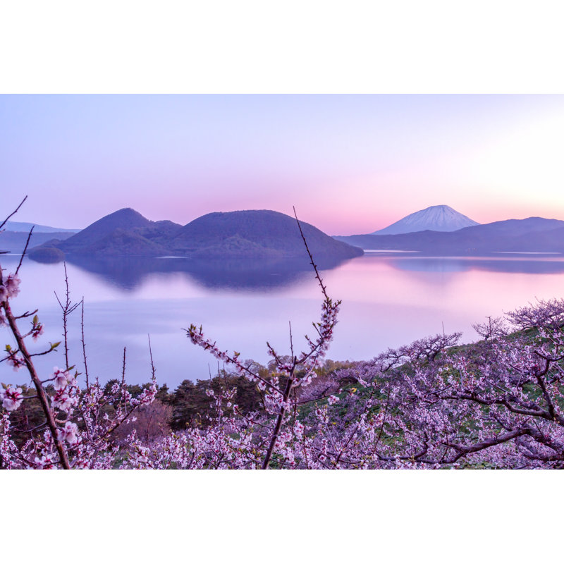 Plum Trees And Lake Toya And Mt.Yotei - Wrapped Canvas Print, 30cm H x 46cm W x 3.8cm D