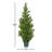 National Tree Company 62" Cedar Tree