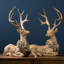 Ensemble de cerfs en résine 2 pièces