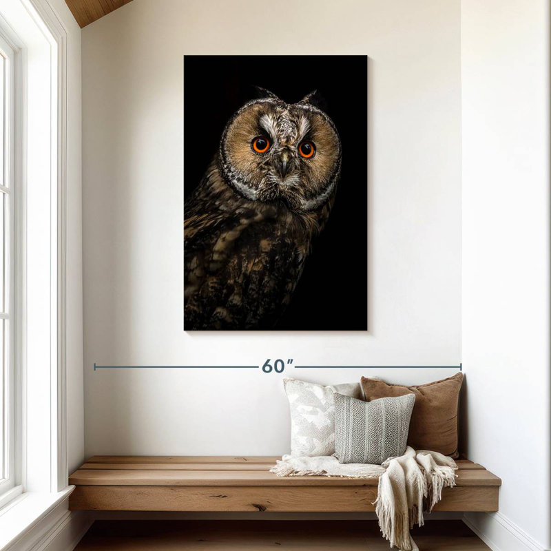 Brampt Eurasian Owl, 45" H x 30" W