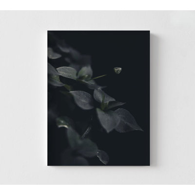 Feuilles vert foncé, photographie de plantes encadrées, art mural nature, photo de feuilles encadrées, art mural plantes, art mural surdimensionné