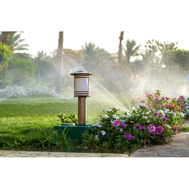 Sprinkler Irrigating Flower, L 12 po x H 8 po