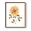 Bright Botanical I, reproduction encadrée - bois massif-326513942-326513921