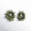 Couronne de fougère et d'herbe artificielle-255513248