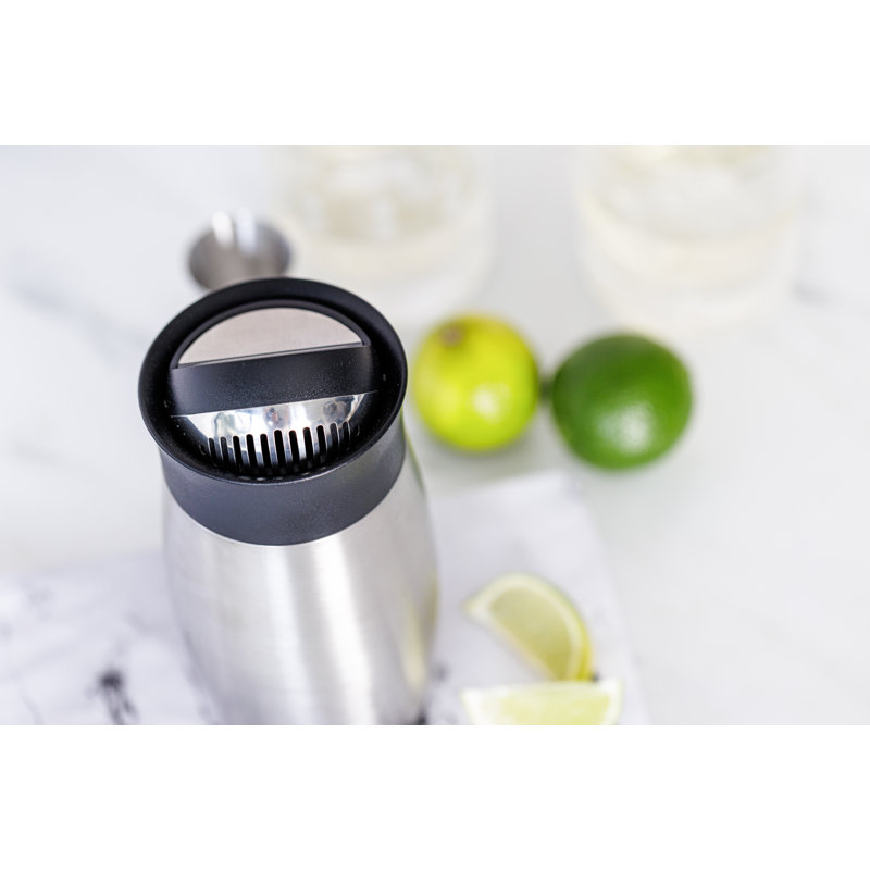 Stainless Steel Shaker