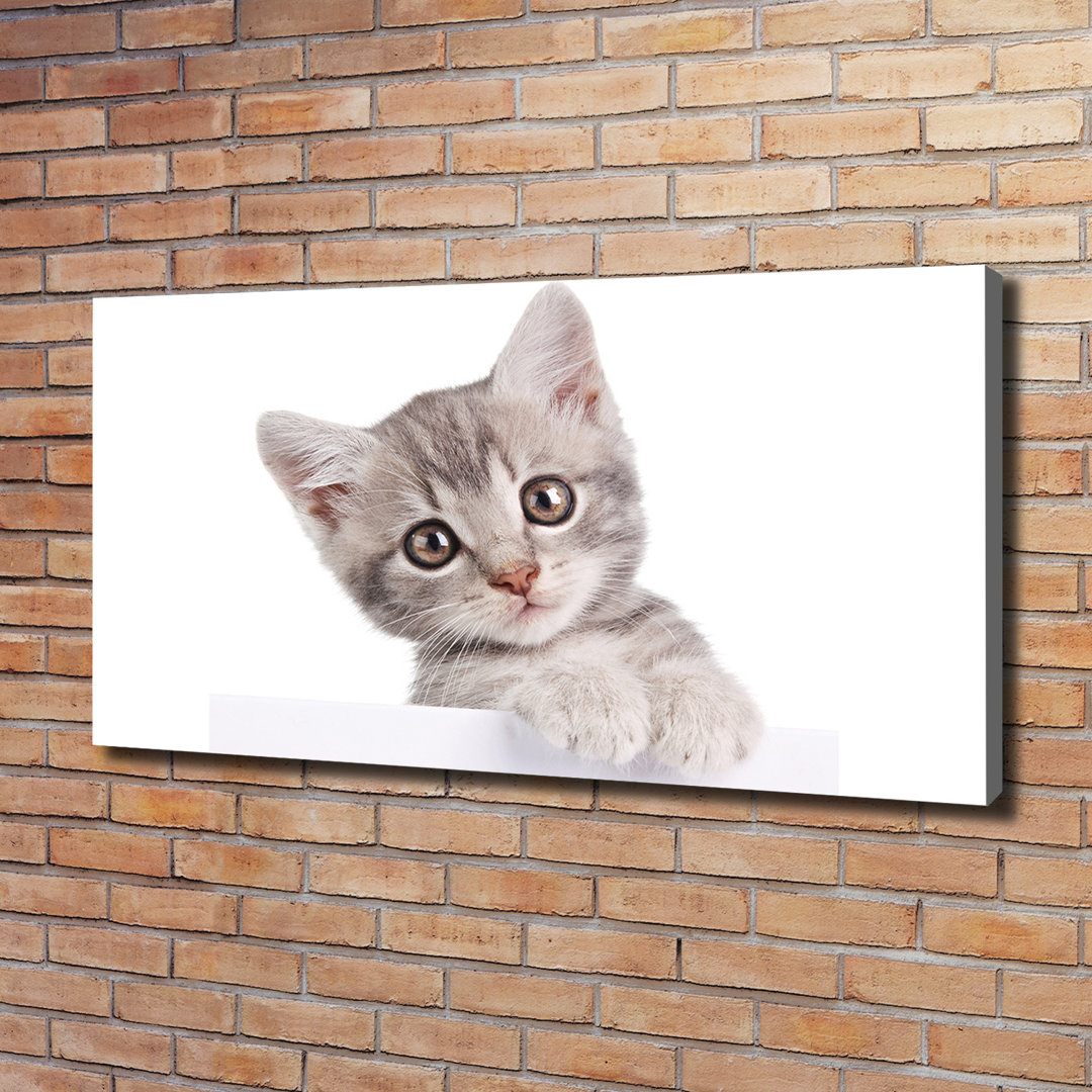 Graue Katze - Ungerahmte Kunstdrucke auf Leinwand