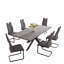 Shaquita dining table set