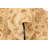 Olson Cream Rug