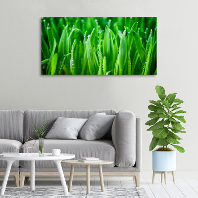 Grass - No Frame Print on Canvas