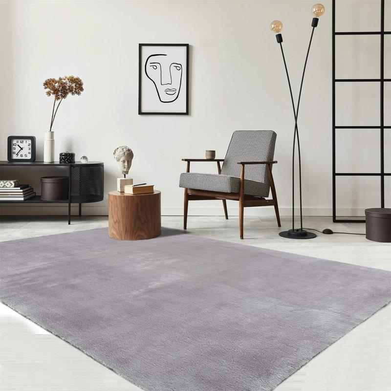 Closter Synthetic 80cm X 150cm Area Rug