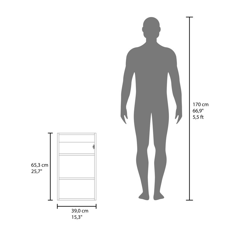 Armoire à pharmacie noire avec miroir inclus, Blanc