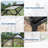 Black 6x4 Ft Polycarbonate Walk-in Greenhouse with Aluminum Steel Frame, Adjustable Roof Vent and Sliding Door for Backyard Winter Growing-124940412