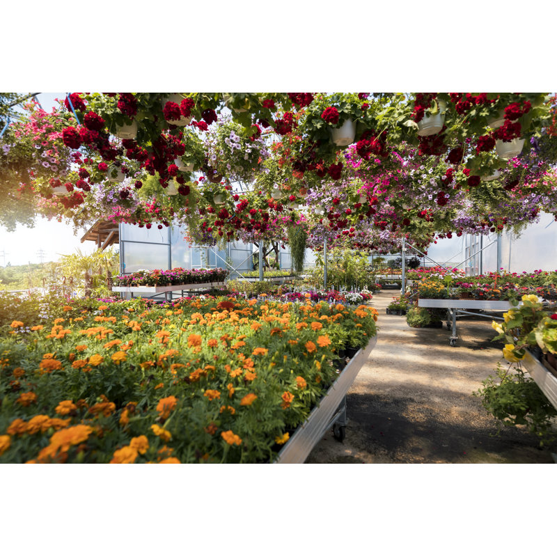 Jardinerie par Sladic, H 20 po x l 30 po