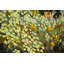Over The Summit Painting by Sie Douglas-Fish